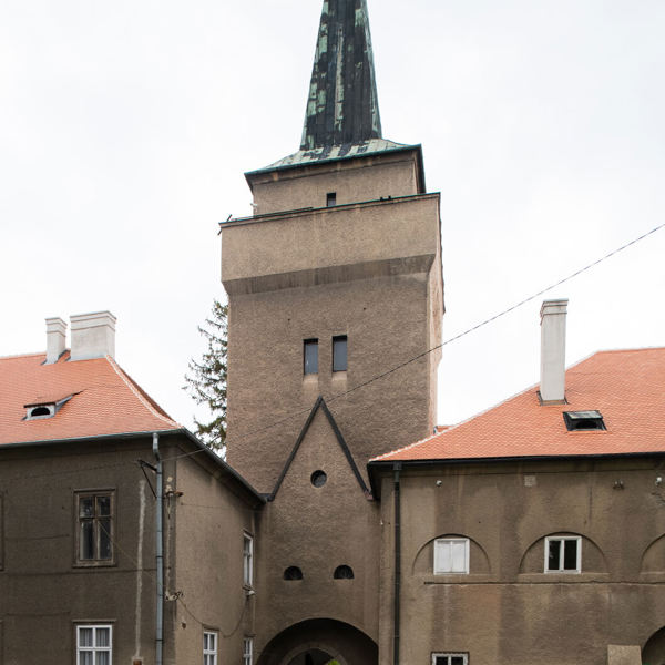 Image /media/ycadsyrs/_dsc4955.jpg
