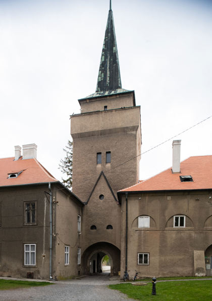 Image /media/ycadsyrs/_dsc4955.jpg