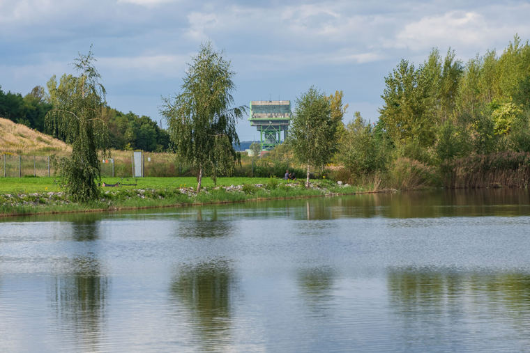 Image /media/yh3pwyt1/_dsc9860.jpg