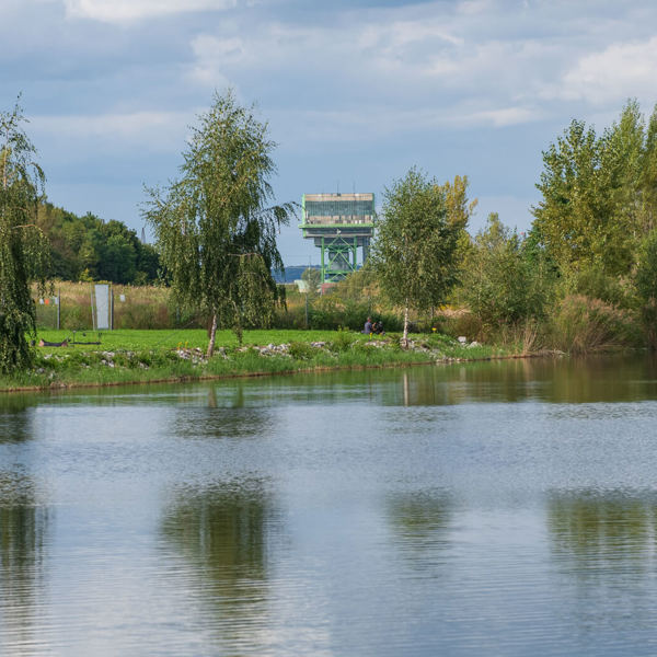 Obrázek /media/yh3pwyt1/_dsc9860.jpg