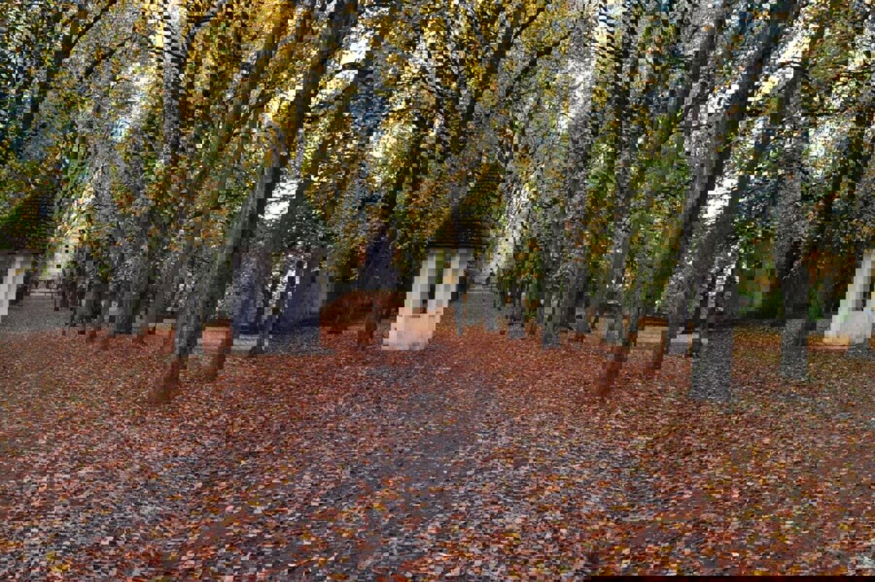 Image /media/yjmad30w/dsc_0193.jpg