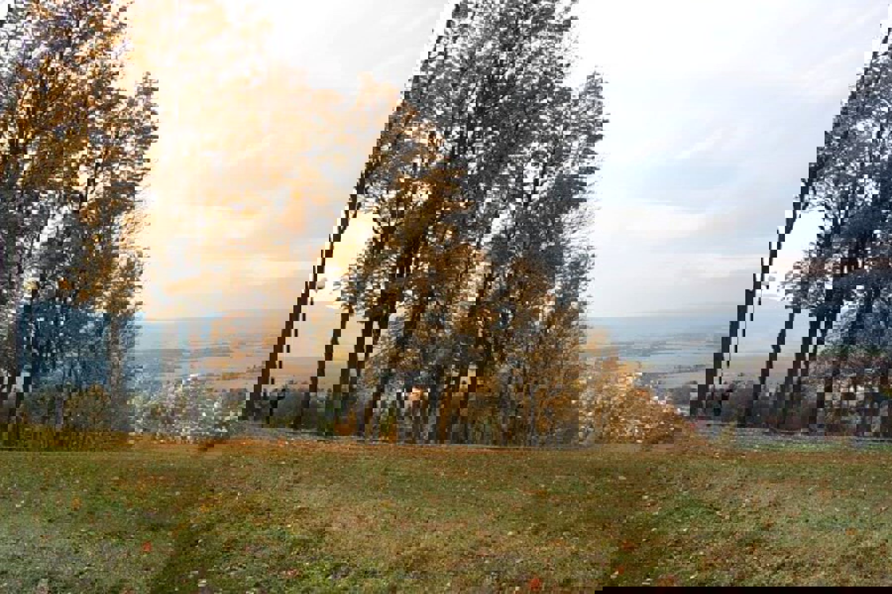 Obrázek /media/yp0i0jlx/img_96511.jpg