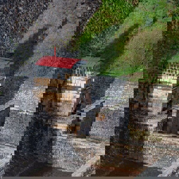 Image /media/ywib4ips/les_kralovstvi_8.jpg