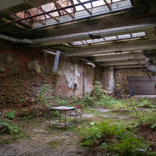 Image /media/ywldgsl0/_dsc3521.jpg