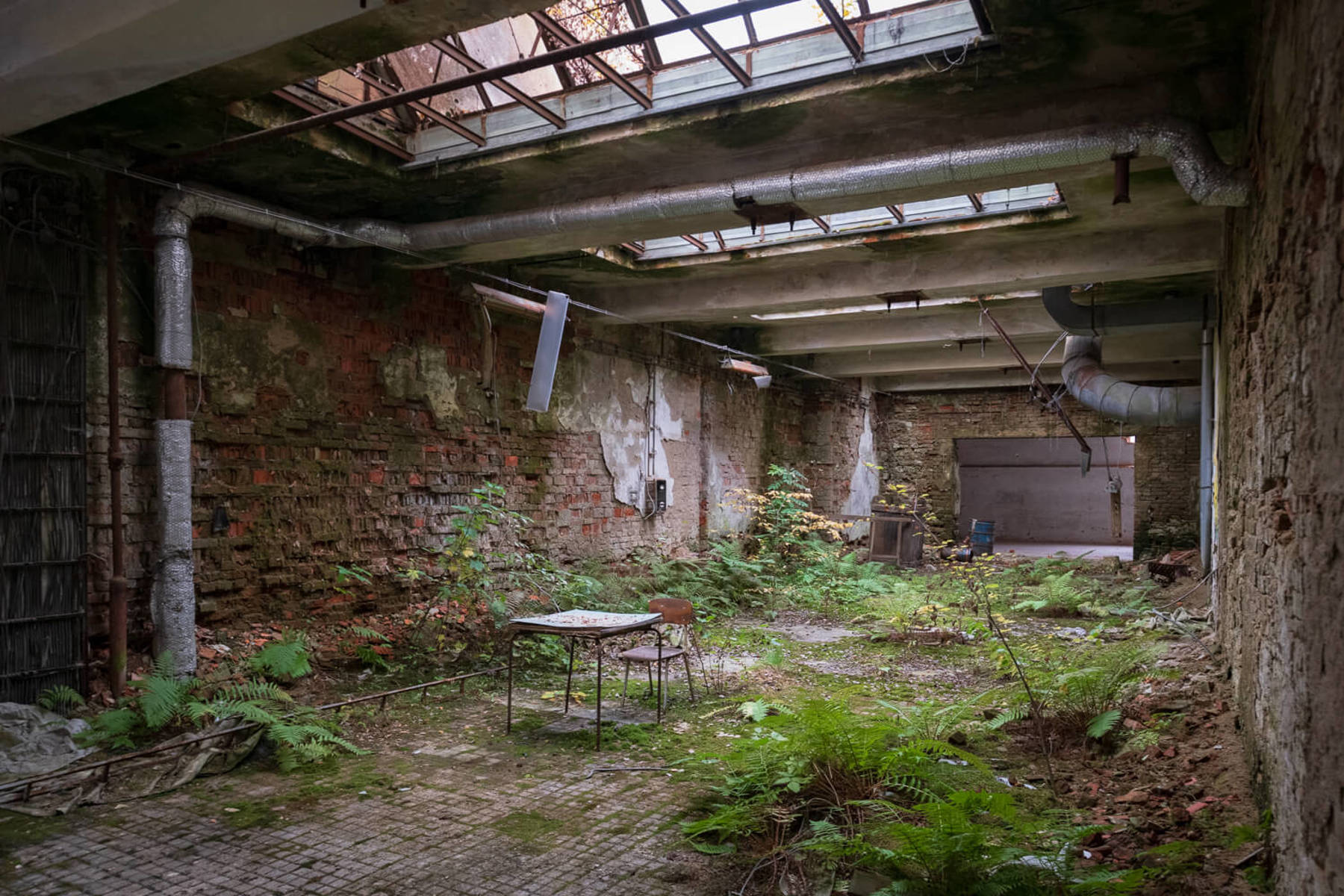 Obrázek /media/ywldgsl0/_dsc3521.jpg