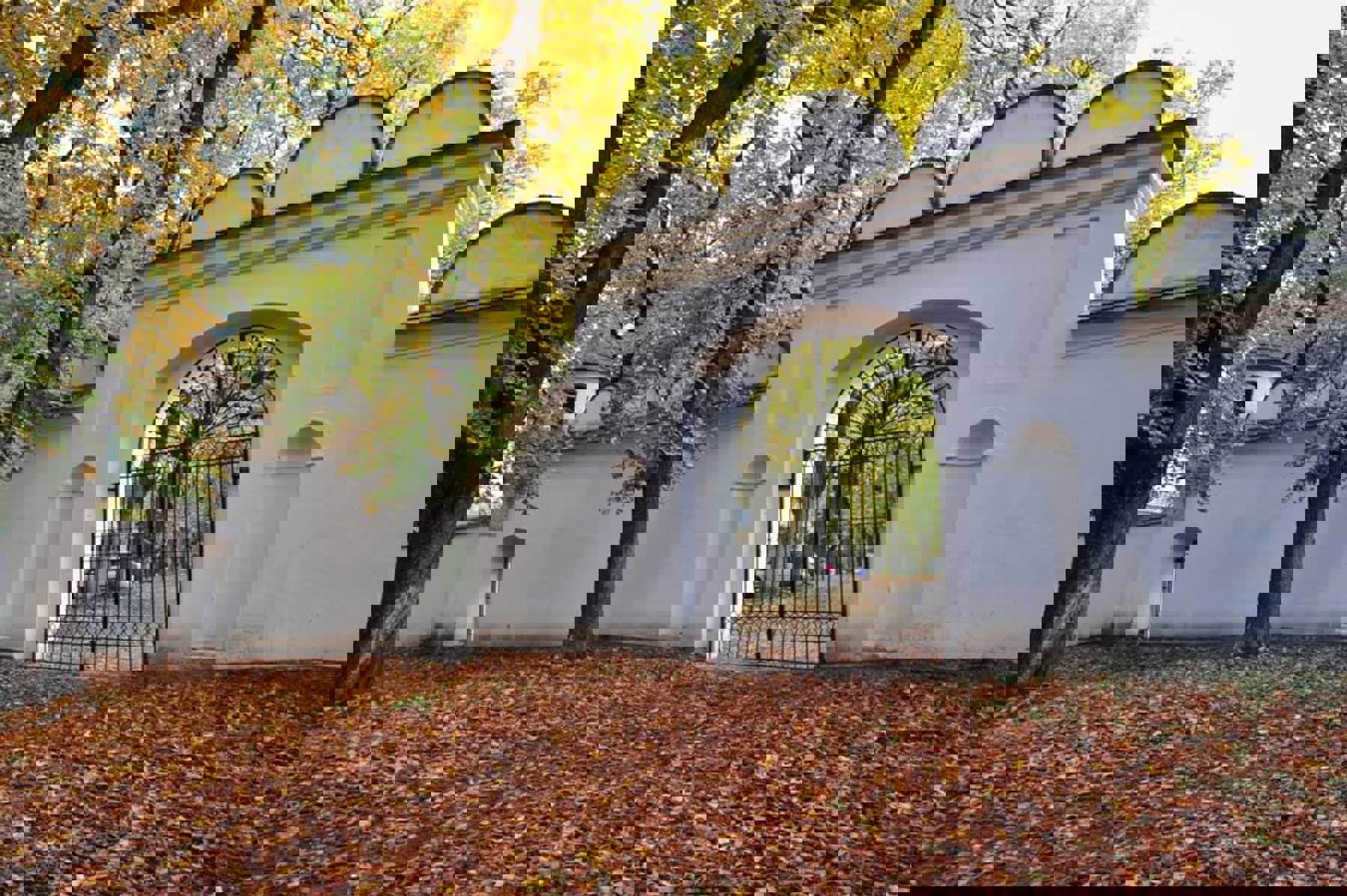 Obrázek /media/ywshd5rh/dsc_0178.jpg