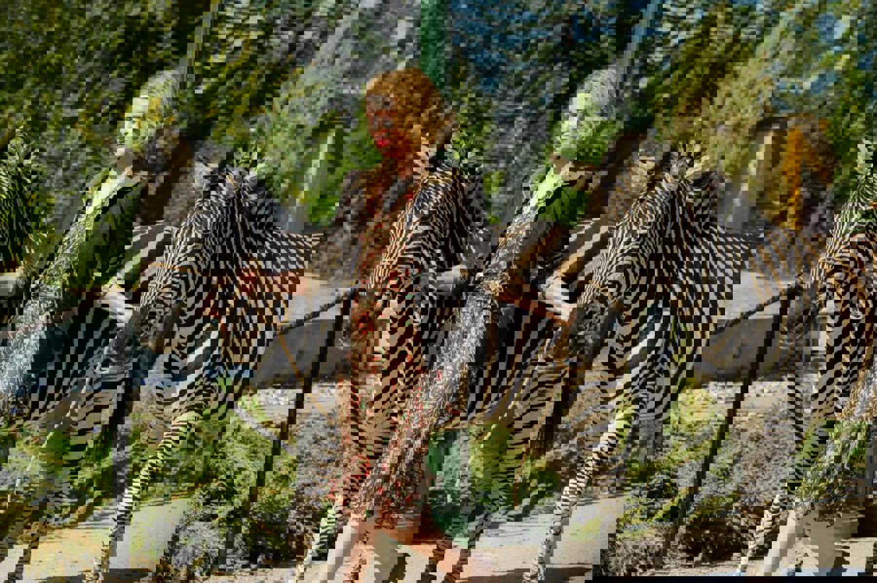 Obrázek /media/yxnb5ccg/zookeepers_wife_cinemart_hmpg_4101_d004_01936_r-1200x799.jpg