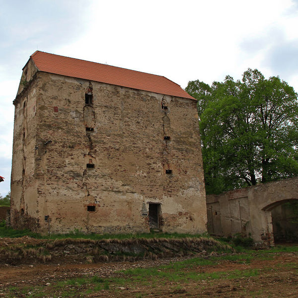 Obrázek /media/z1dhr4n3/tvrz_smrcna.jpg