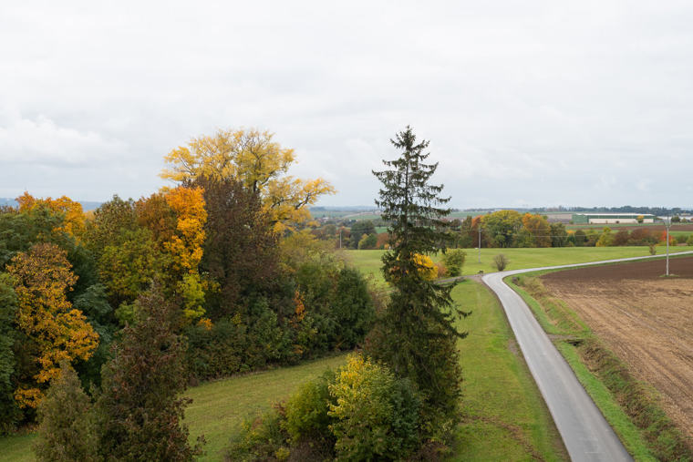 Image /media/z4oja4gj/_dsc3836.jpg