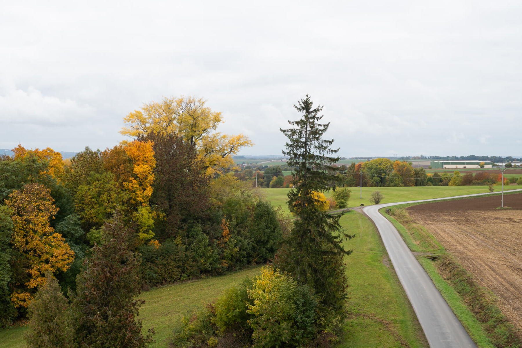 Obrázek /media/z4oja4gj/_dsc3836.jpg