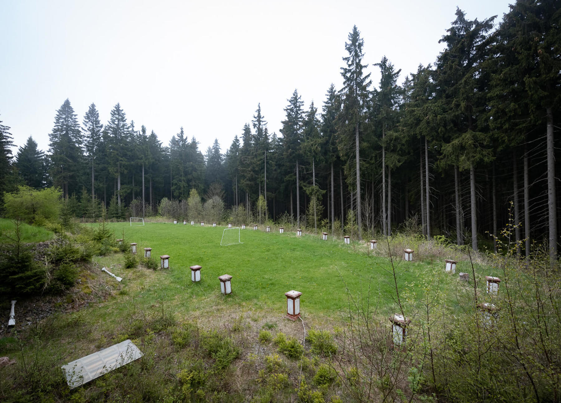 Image /media/z4zdcmct/dsc8519.jpg