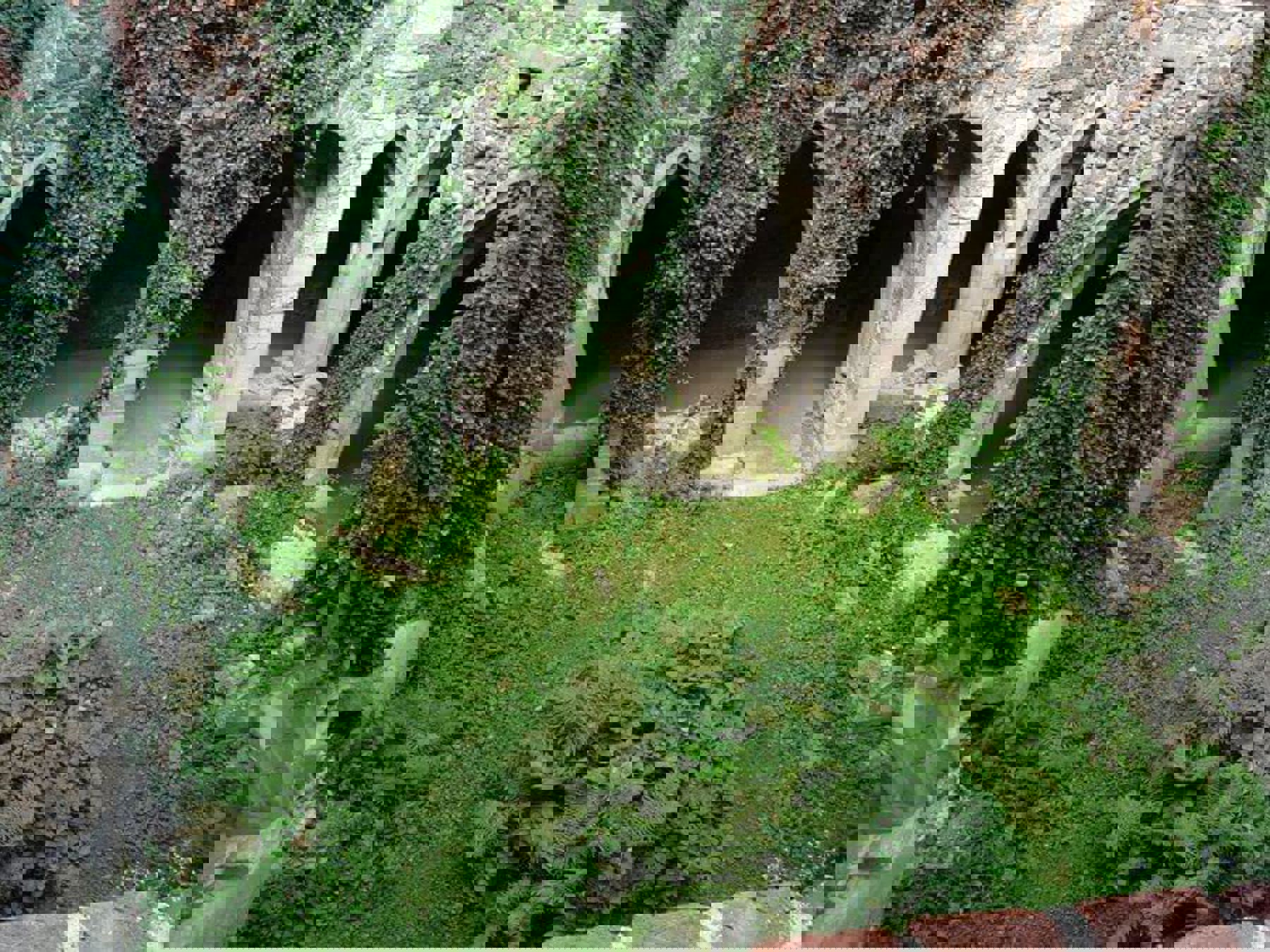 Obrázek /media/zawjodtx/p10802691.jpg