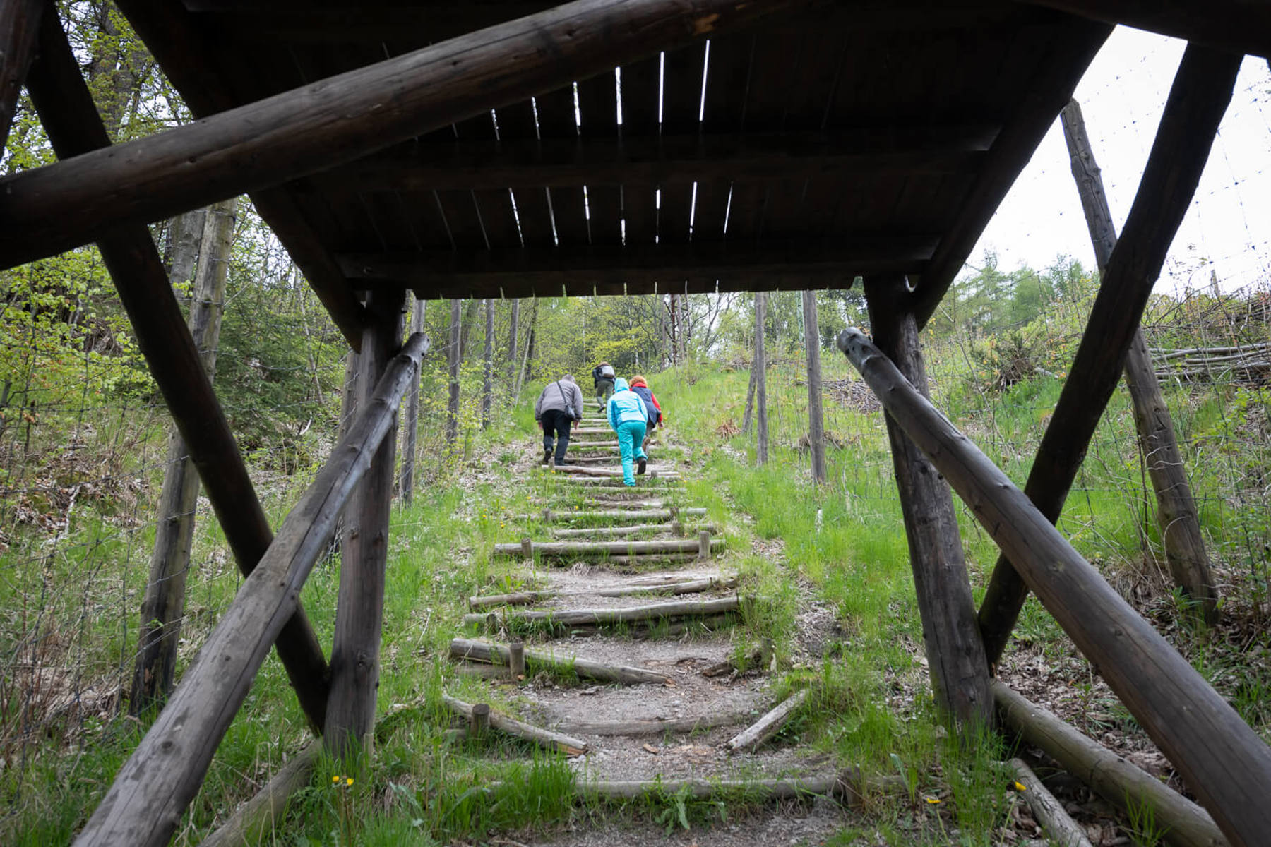 Image /media/zd2prjkb/dsc8664.jpg