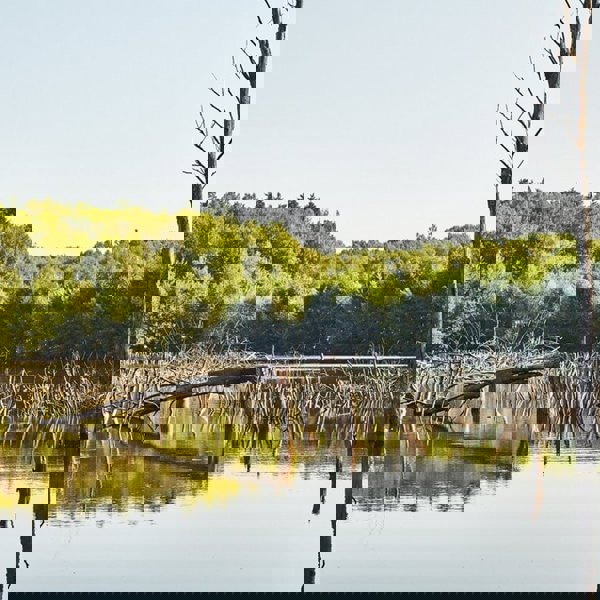 Image /media/zgpd2cxi/karel_kita_-_moravskoslezske_investice_a_development_53.jpg