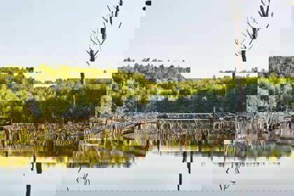 Image /media/zgpd2cxi/karel_kita_-_moravskoslezske_investice_a_development_53.jpg