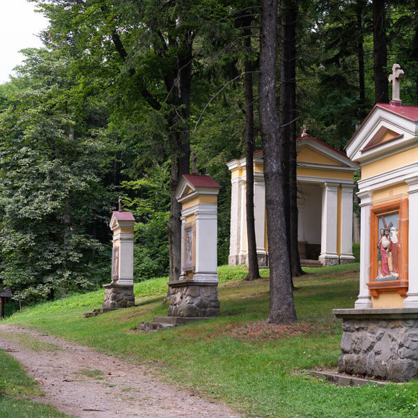 Obrázek /media/zhqftnnw/dsc_0613.jpg