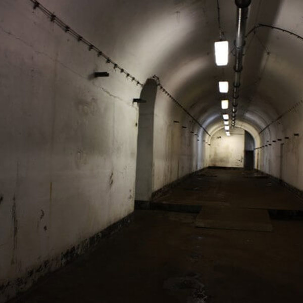 Image /media/zydiuzry/img_95561.jpg