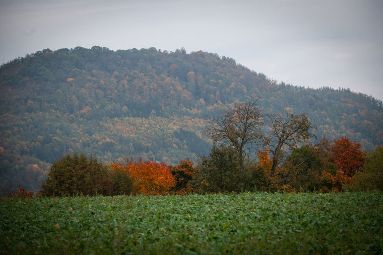 Image /media/zzdpcznk/_dsc3404.jpg