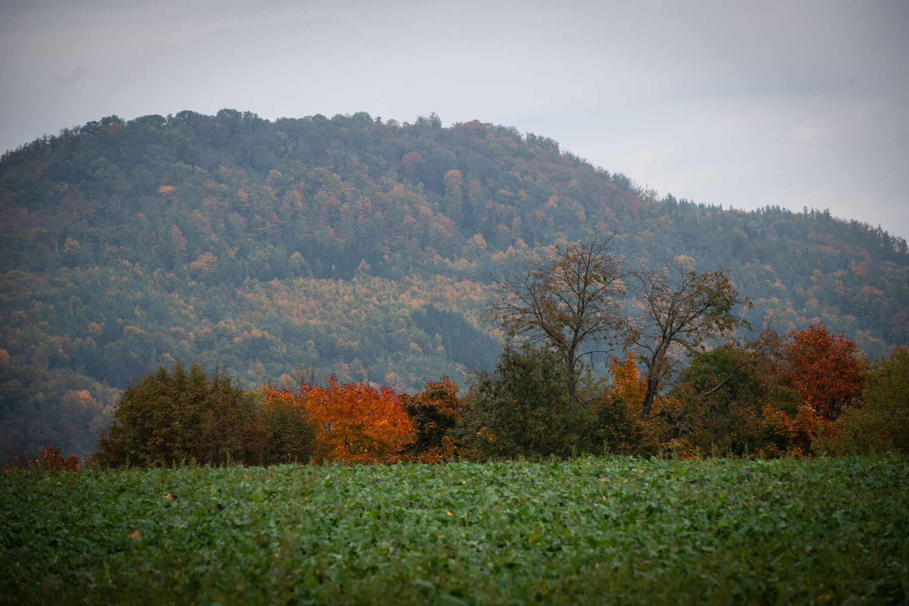 Obrázek /media/zzdpcznk/_dsc3404.jpg