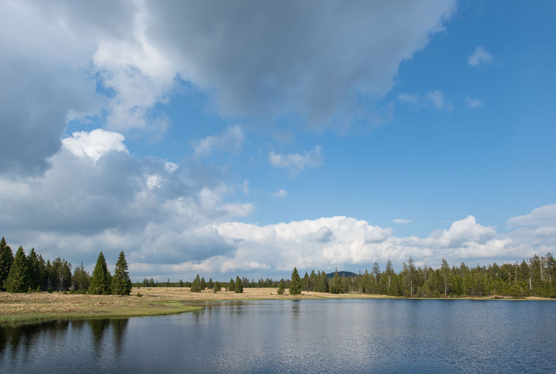 Image /media/zzjloxvd/dsc8146.jpg